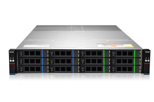 Сервер Gooxi SY202-D12RS