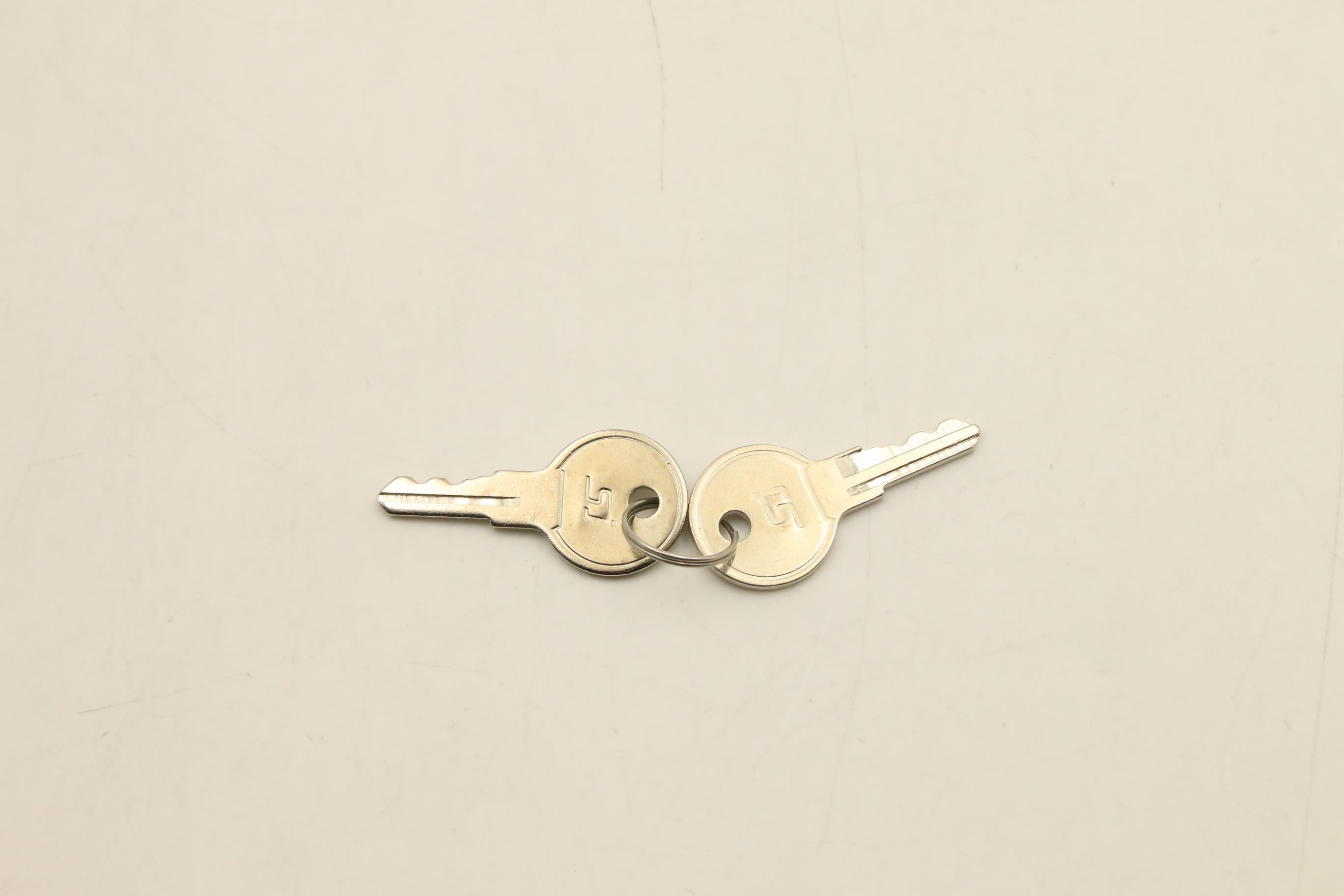 Ключи двери Lenovo Door Keys (02JK142)