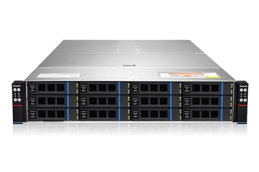 Сервер Gooxi SY204-D12RFS