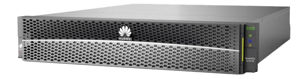 Huawei OceanStor 5110F V5