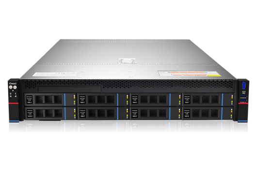 Сервер Gooxi SL201-D08R/-NV