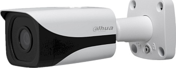 Видеокамера Dahua IPC-HFW4831E-SE