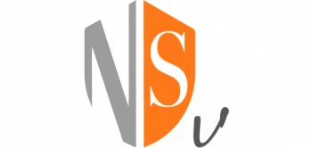 ПО Sonicwall NSv 100