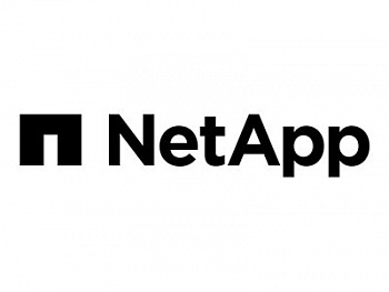 Сертификат расширенного сервисного обслуживания NetApp CS-NBD-DELIVERY-INC